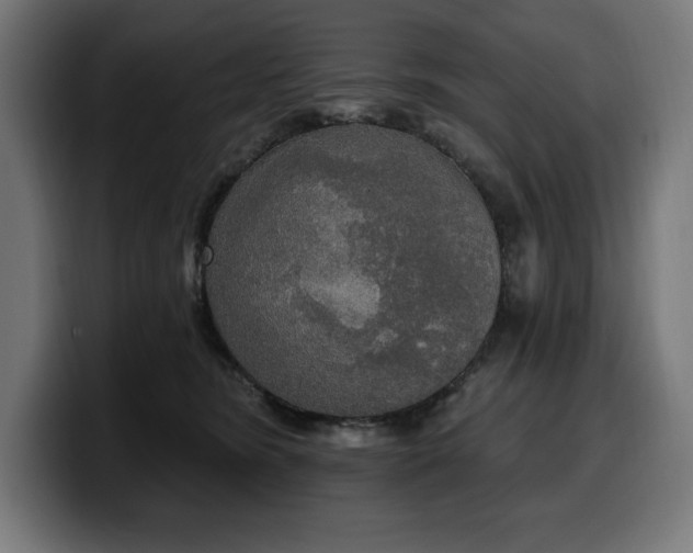 X0000100500420200806131440