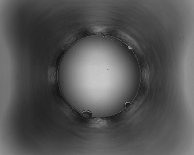 X0000100500421200806131440