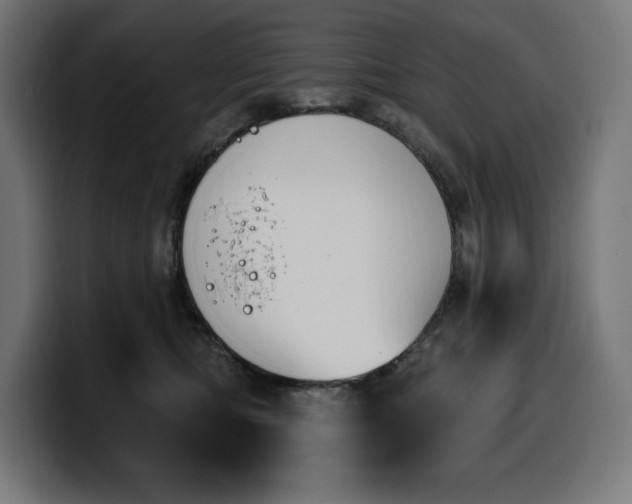 X0000100500422200806131440