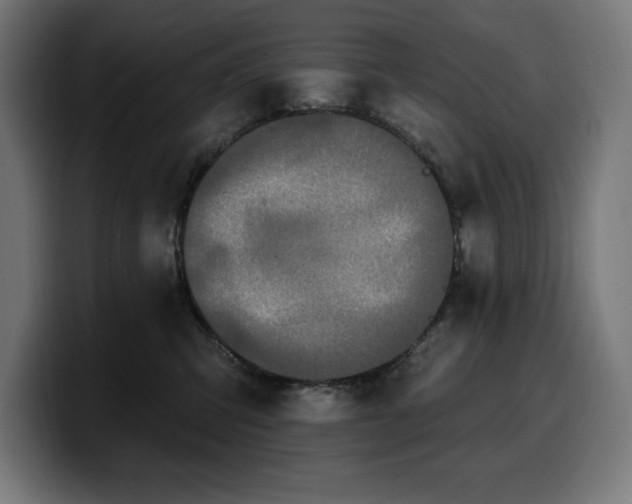 X0000100500423200806131440