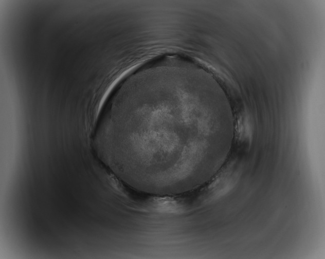 X0000100500424200806131440