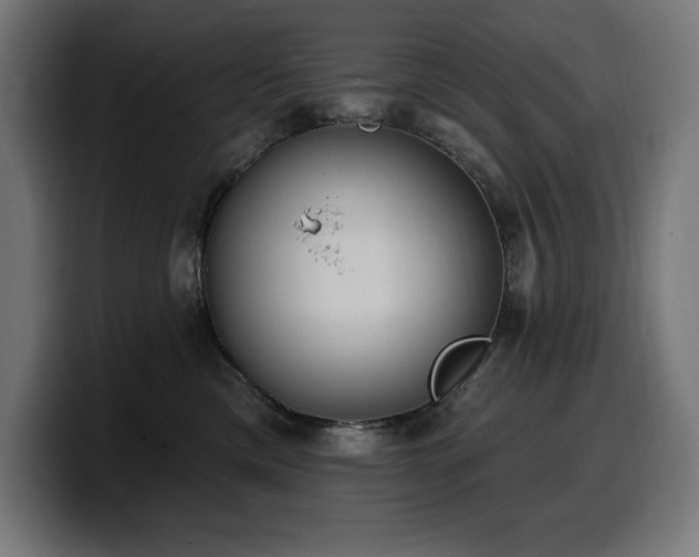 X0000100500425200806131440