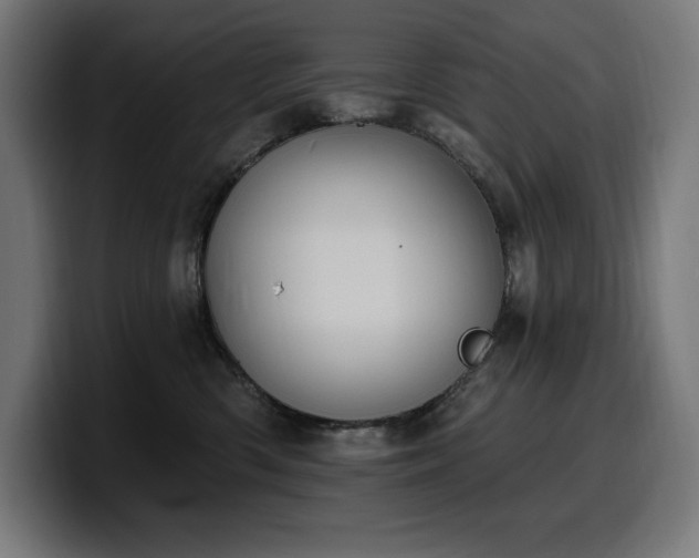 X0000100500426200806131440