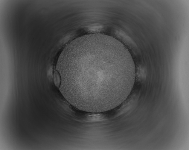 X0000100500428200806131440