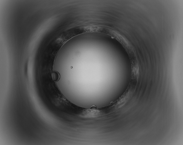 X0000100500429200806131440