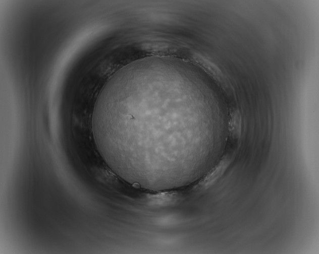 X0000100500430200806131440