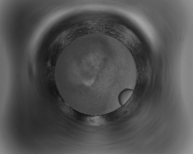 X0000100500431200806131440