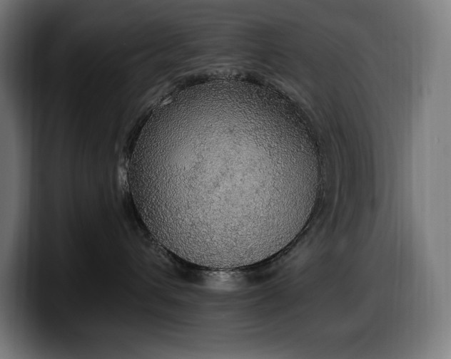 X0000100500432200806131440