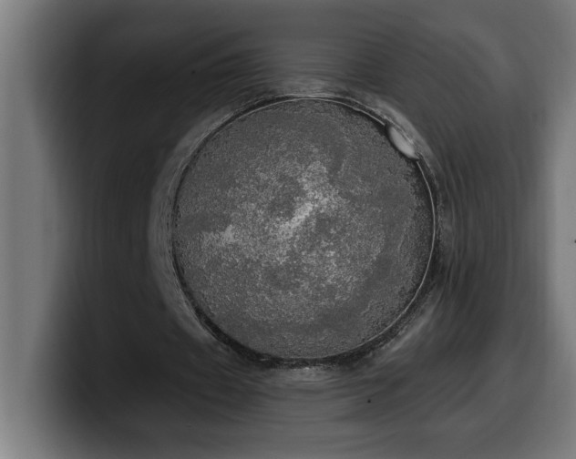 X0000100500433200806131439