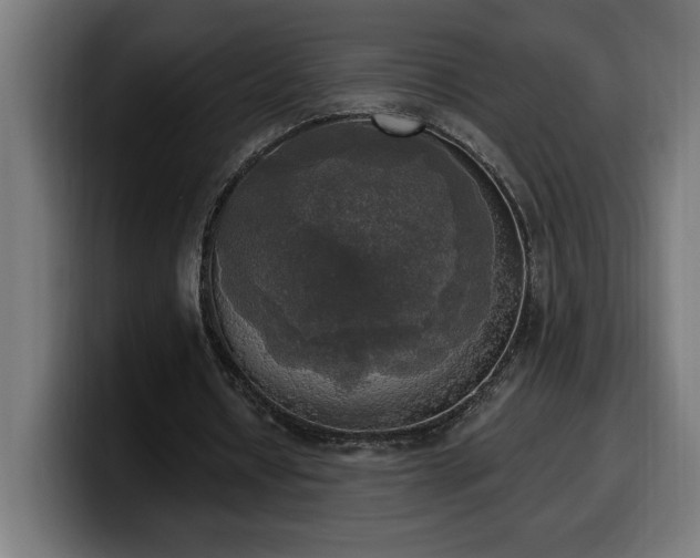 X0000100500434200806131439