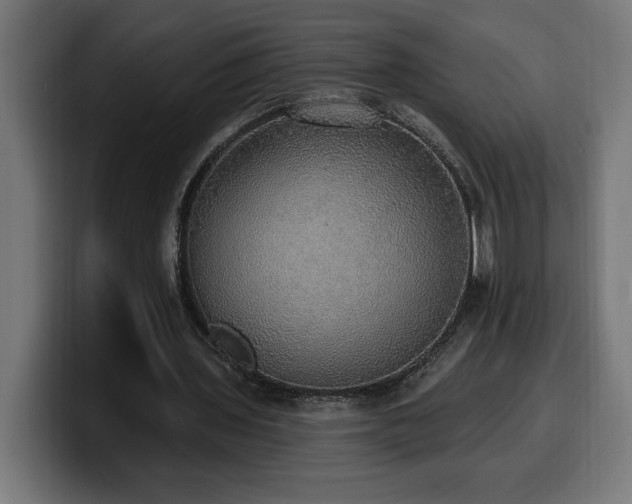 X0000100500435200806131439