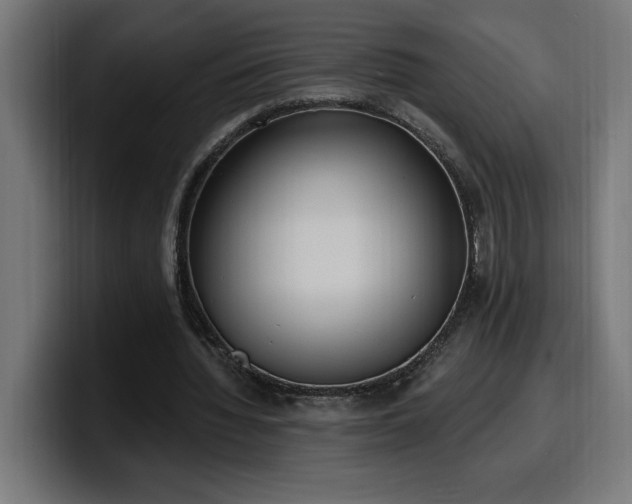 X0000100500436200806131439