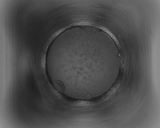 X0000100500437200806131439