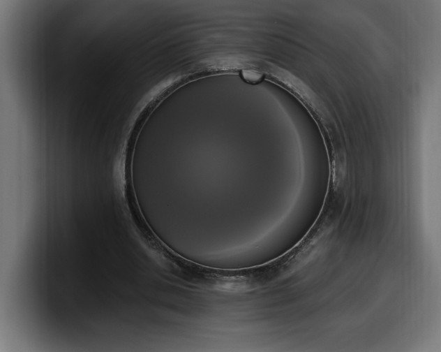 X0000100500438200806131439