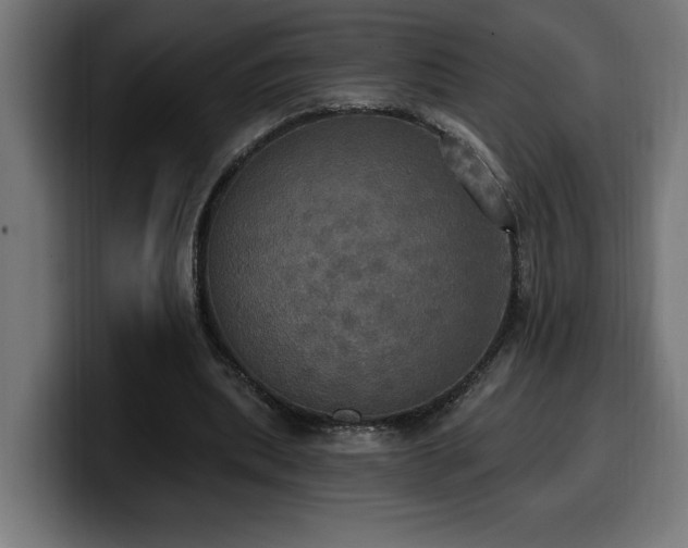 X0000100500439200806131439