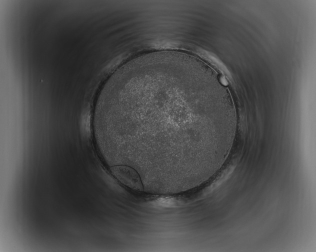 X0000100500441200806131439