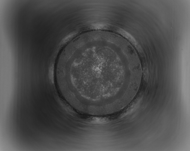 X0000100500442200806131439