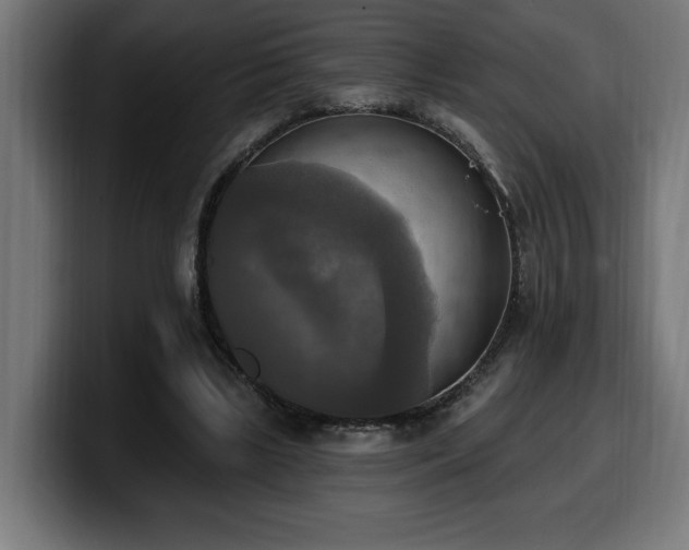 X0000100500443200806131439