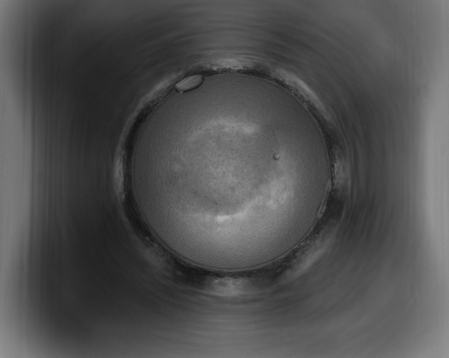 X0000100500444200806131439