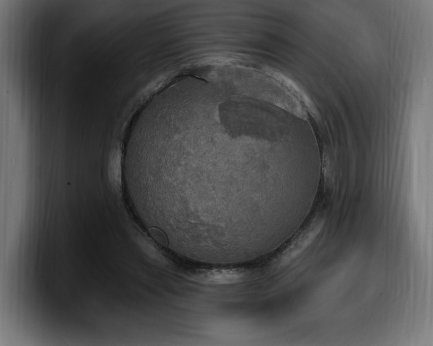 X0000100500445200806131439