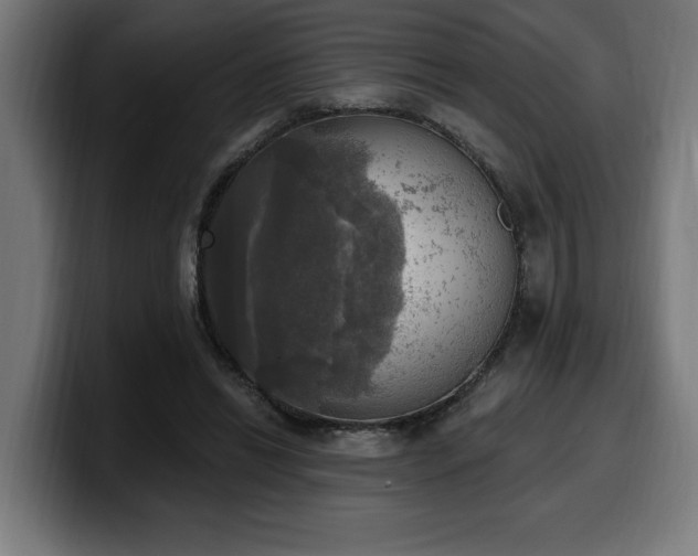 X0000100500446200806131439