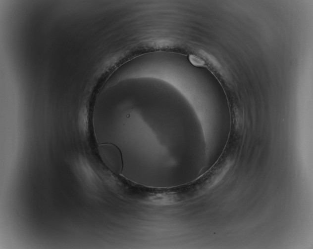 X0000100500447200806131439