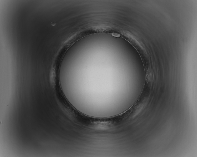 X0000100500448200806131439