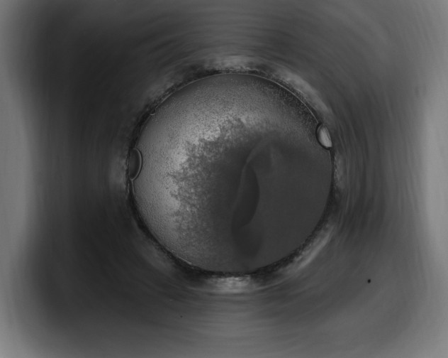 X0000100500449200806131439