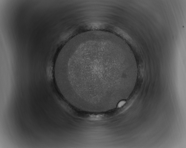 X0000100500450200806131439