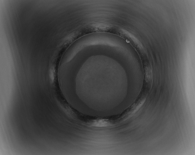 X0000100500451200806131440