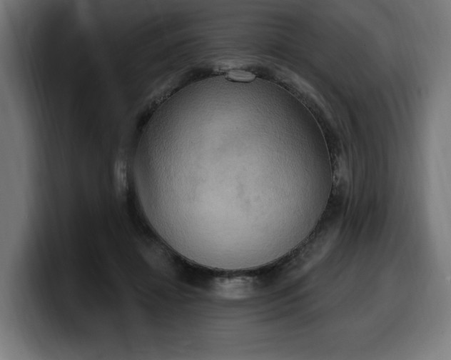 X0000100500452200806131440