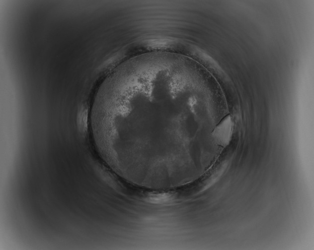 X0000100500454200806131440