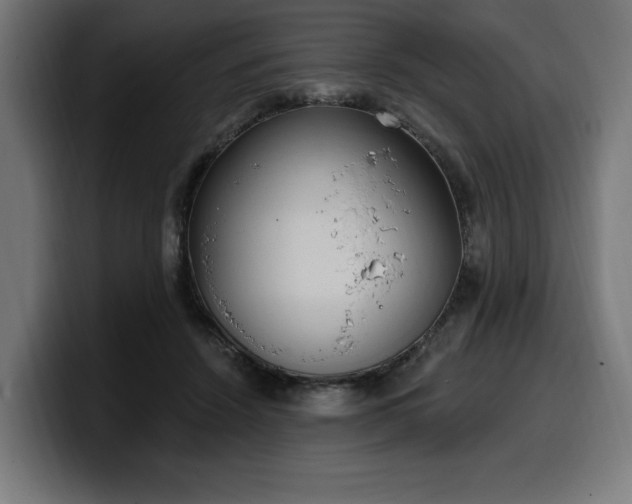 X0000100500456200806131440