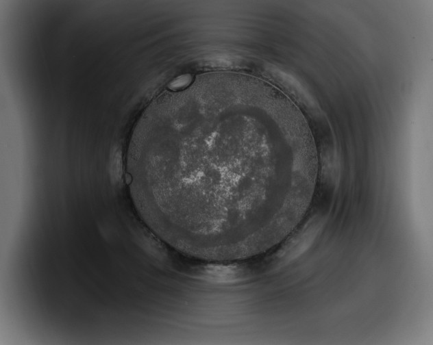 X0000100500457200806131440