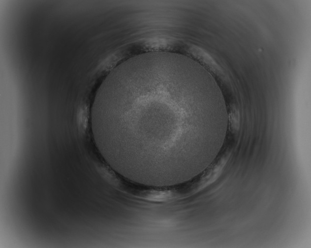 X0000100500458200806131440