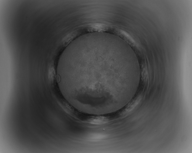 X0000100500459200806131440