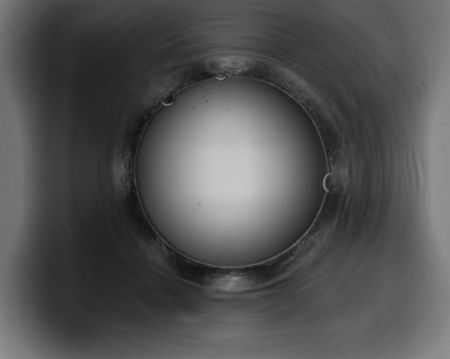 X0000100500460200806131440