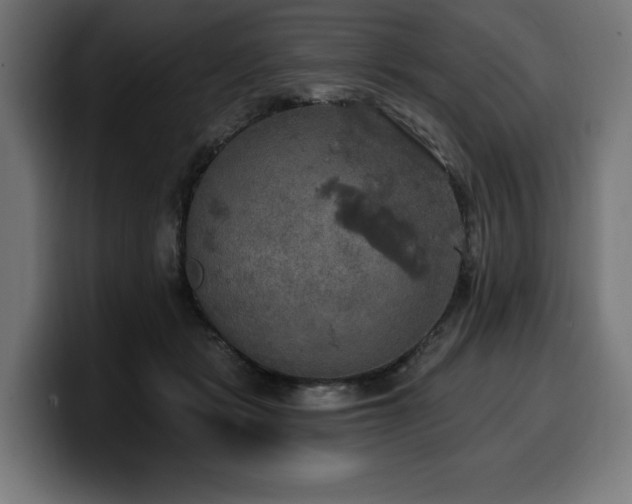 X0000100500461200806131440