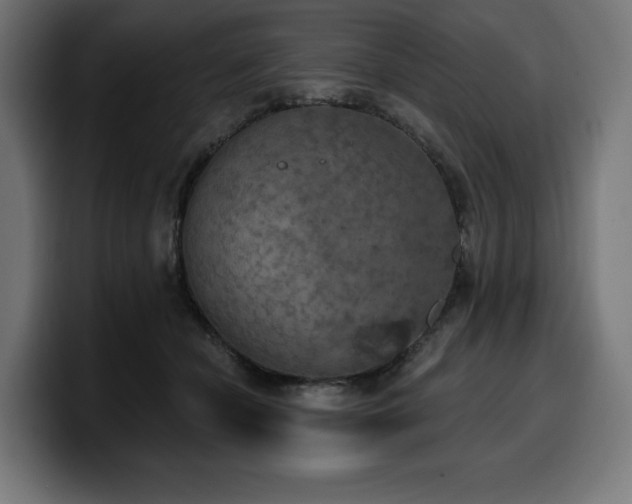 X0000100500462200806131440