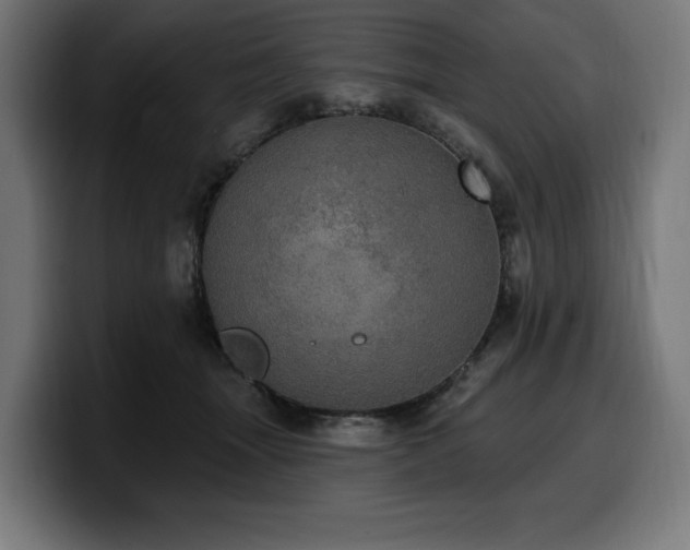 X0000100500463200806131440