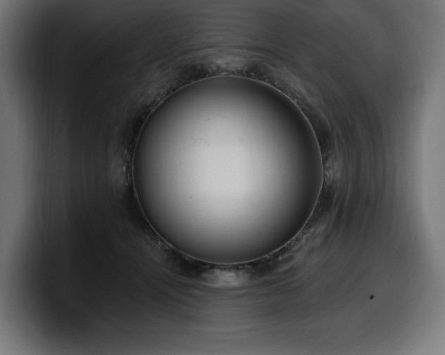 X0000100500464200806131440