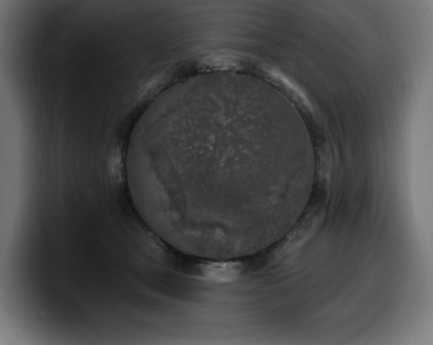 X0000100500465200806131440