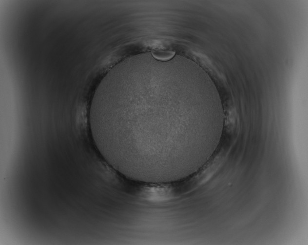 X0000100500466200806131440