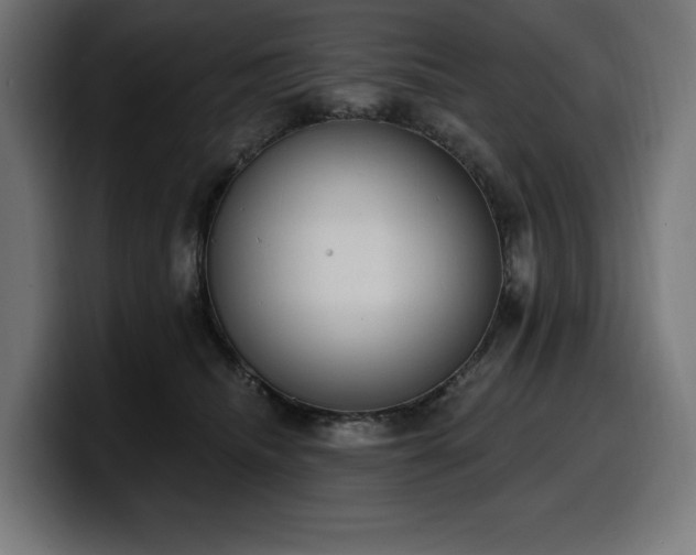 X0000100500468200806131440