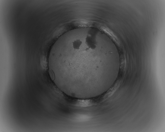 X0000100500469200806131440