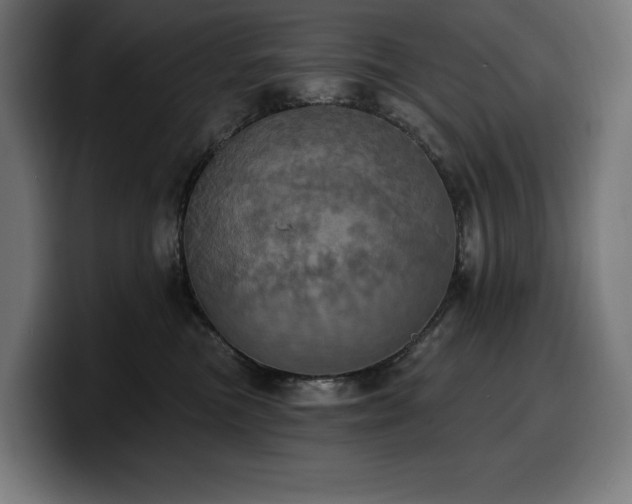 X0000100500473200806131440