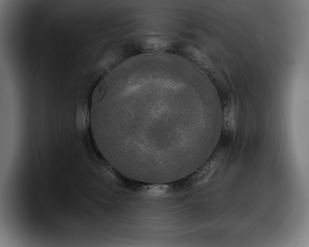 X0000100500474200806131440