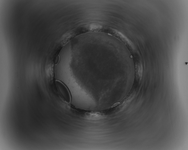 X0000100500475200806131440