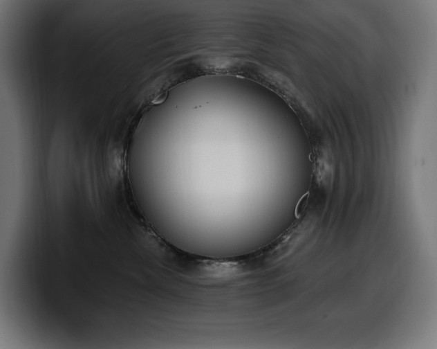 X0000100500476200806131440