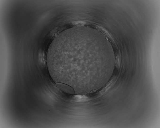 X0000100500477200806131440